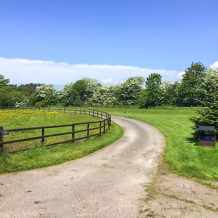 The Gosforth (Cumbria)