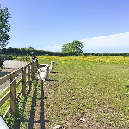The * Gosforth (Cumbria)
